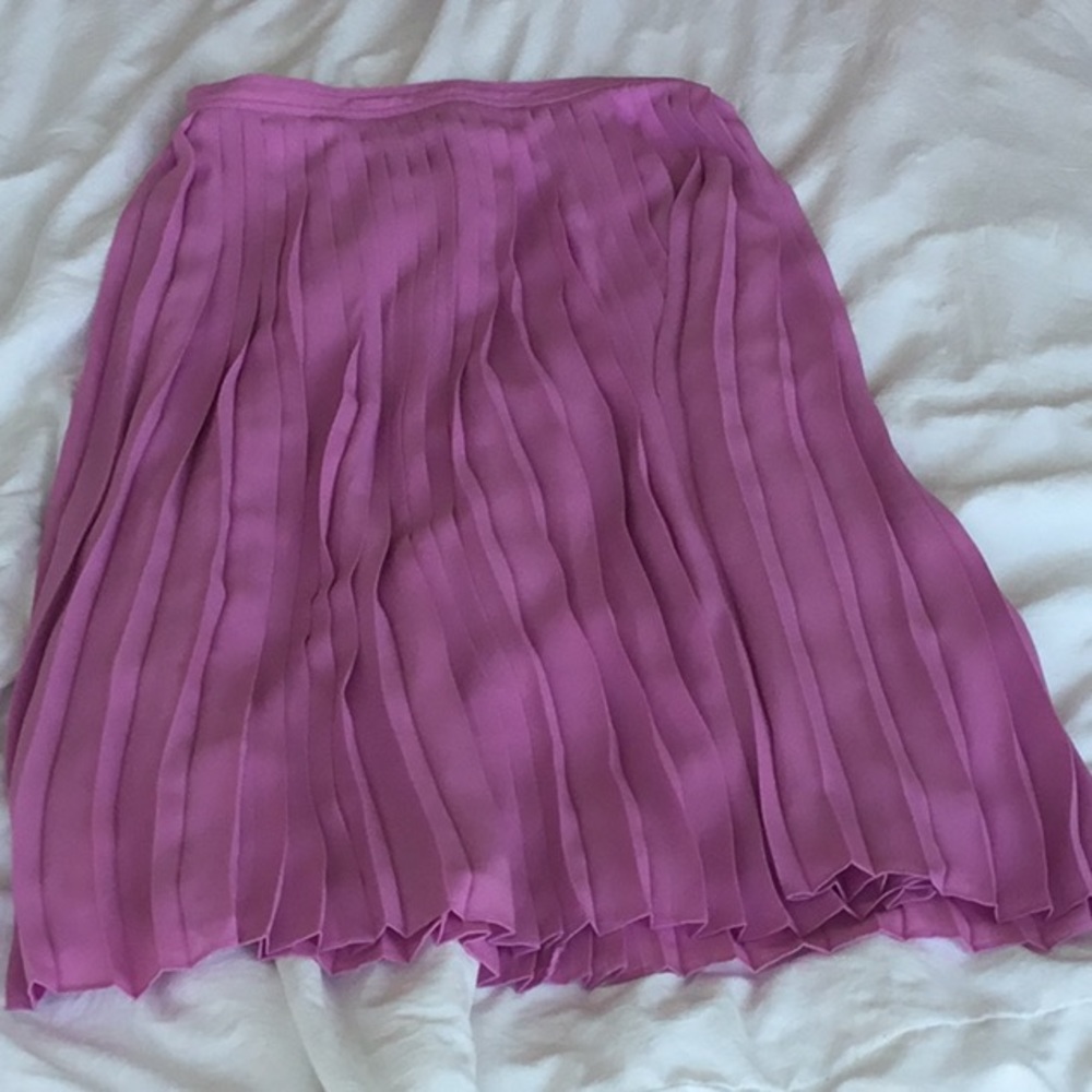 J. Crew Skirt